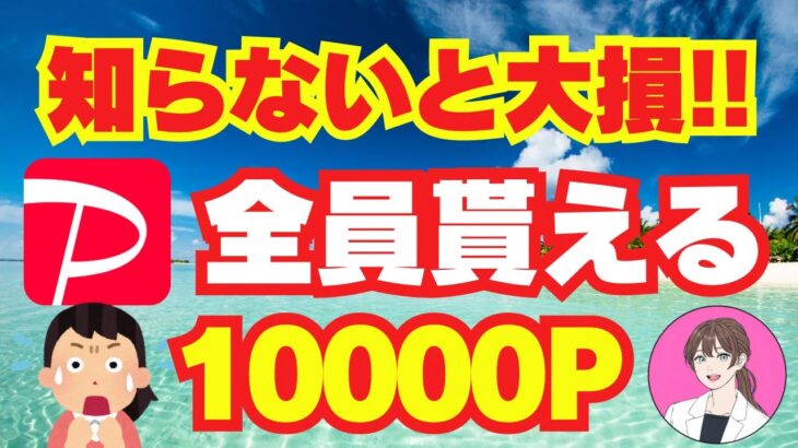 【 paypay 】10000 ポイント もらえるヤバすぎる キャンペーン スマホ で ペイペイ を 稼げる ポイ活 初心者 に おすすめ 無料 で 稼ぐ 副業 不労所得 で 節約 貯金 【 お金 】