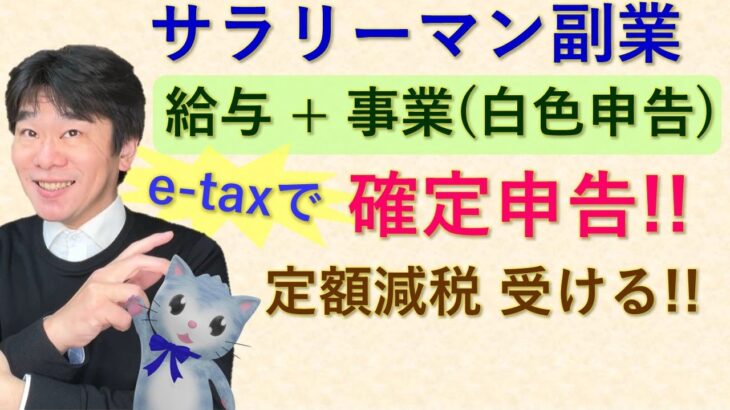 副業しているサラリーマンの確定申告・定額減税の処理、確定申告書等作成コーナーで実演、給与所得＋事業所得（白色申告）で申告する場合【静岡県三島市の税理士】