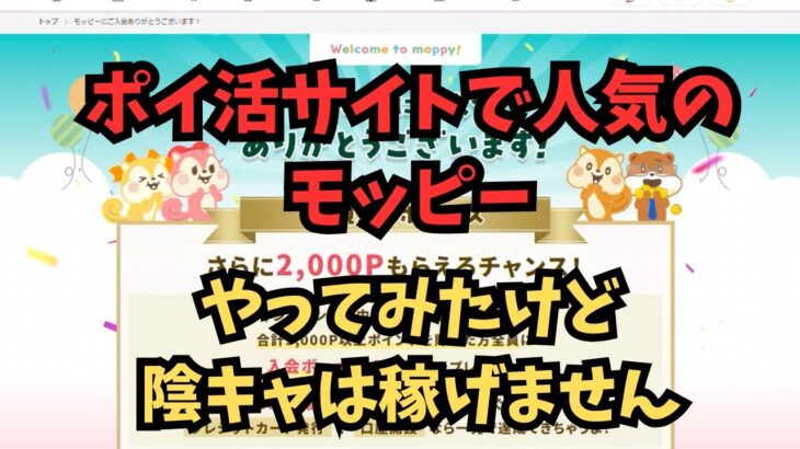 【副業検証】人気のポイ活モッピーをやってみたけど・・・初心者や陰キャは稼げません！